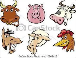 Quel animal n'est pas un mammifère ?