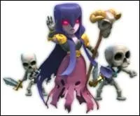 Quelle est cette troupe noire ?