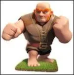 Quelle est cette troupe ?