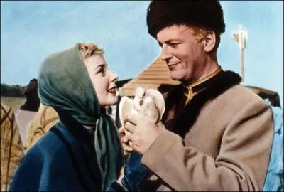 Ce roman de Jules Verne raconte le périple d'un capitaine, courrier du tsar de Russie, à travers la Sibérie. Ce voyage sera long en raison des épreuves subies par le héros, notamment la perte de ses yeux.