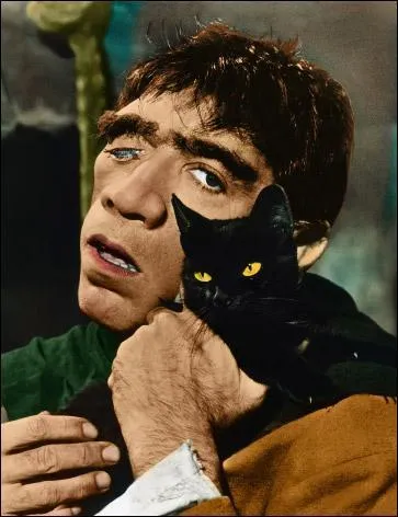 Abandonné à ma naissance par mes parents en raison de ma difformité, je fus recueilli sur le parvis de Notre-Dame par l'archidiacre de la cathédrale, Claude Frollo.