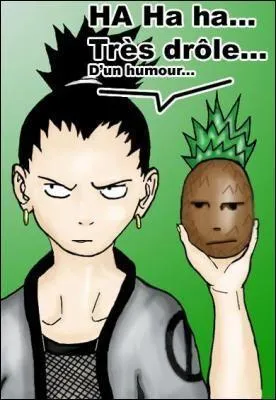 A quel fruit ressemble Shikamaru ?