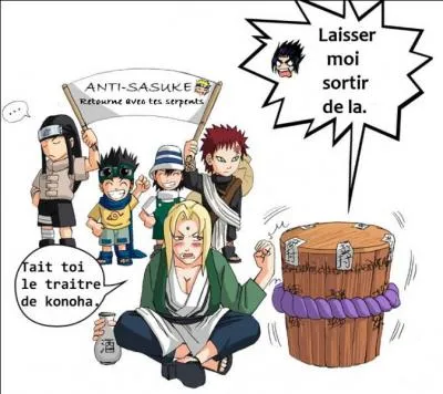 Qui ne fait pas partie du clan anti-Sasuke ?