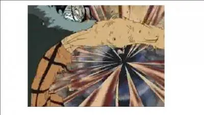 Comment s'appelle cette technique ?