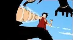 Comment s'appelle cette technique ?