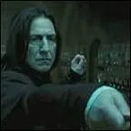 Qu'enseigne Rogue à Harry ?