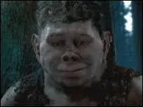 Comment s'appelle le demi-frère de Hagrid ?