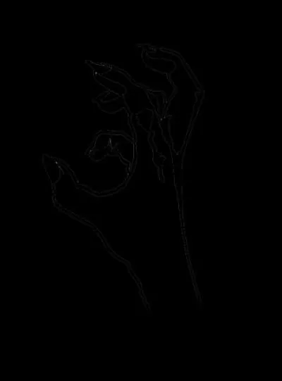 Que veut dire le signe sur la photo ?