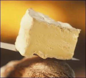 Trivial Pursuit est-il un jeu de rapidité, de culture générale ou d'habileté physique ?