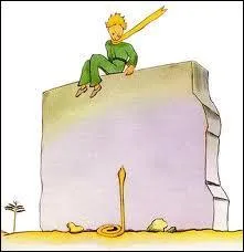 Pourquoi le Petit Prince ne veut-il pas ?