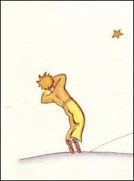Comment le Petit Prince va-t-il rentrer chez lui ?