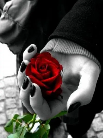 Qui chantait " Ne laisse pas passer ta chance, bats toi jusqu'au bout" ?