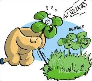 Si je vous demande combien j'ai créé de quiz jusqu'au 28 juillet 2014 : 2221 ou 2721 ?