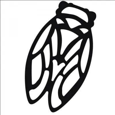 Chaque année, en France, Santé Sud organise notamment...