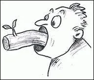 Quelle expression se cache derrière cette image ?