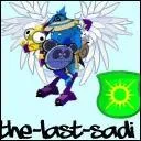 Quelle panoplie a ce Sadi ?