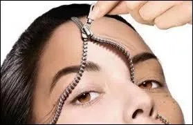 La peau est l'organe le plus lourd du corps.