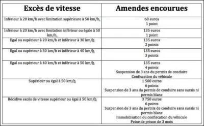 Quel insecte correspond à la photo ?