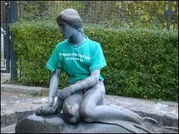 Parmi ces marques de bière, laquelle n'est pas danoise ?