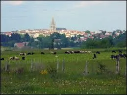 Vous apercevez au loin le village Haut-Ligérien de Sainte-Sigolène. Il se trouve en région ...