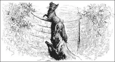 "En toute chose il faut considérer la fin."