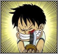 Ce jeune garçon est le héros de l'histoire.