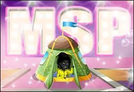 Quel argent est rare dans MSP ?