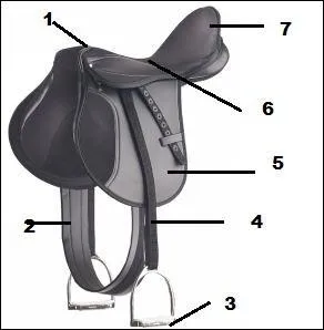 Comment s'appelle le numéro 7 sur l'image ?