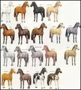 Quelle robe ne contient pas trois couleurs ?