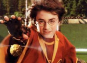 Quiz Harry Potter et la Chambre des secrets