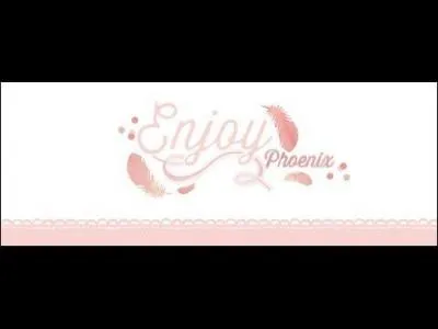 Combien d'abonnées a-t-elle ? (En juillet 2014)