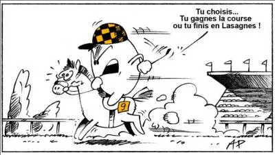 Le scandale de la viande de cheval a impliqué une entreprise de Castelnaudary d'un ex rugbyman ; c'est :