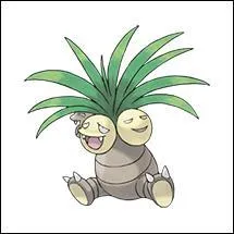 Quel est ce Pokémon ?