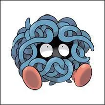 Quel est ce Pokémon ?