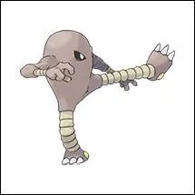 Quel est ce Pokémon ?