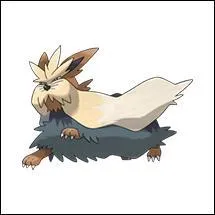 Quel est ce Pokémon ?