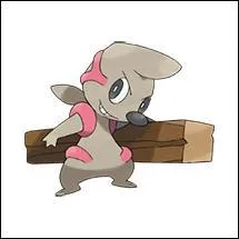 Quel est ce Pokémon ?