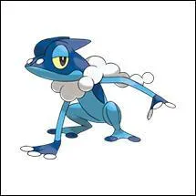 Quel est ce Pokémon ?