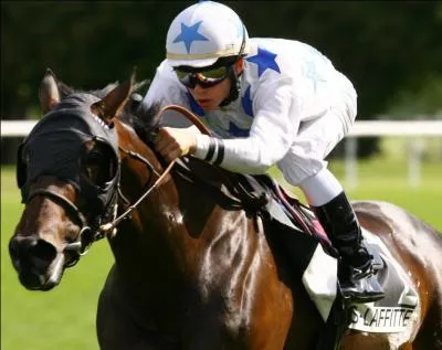 Pour quelqu'un qui ne comprend rien, il existe une expression chevaline, on dit de lui qu'il ...