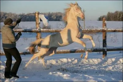 Avant de partir, il est de coutume de boire un verre, c'est la raison pour laquelle on dit ...