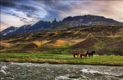 Prenez votre temps pour jouer ce quiz, il n'est pas nécessaire d'aller ...