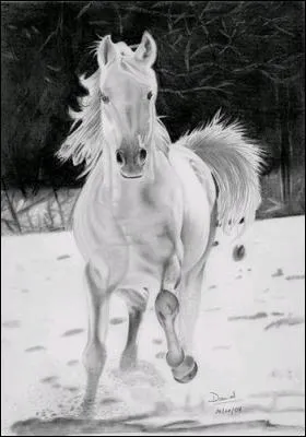 Quel animal est présent sur la photo ci-contre ?