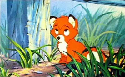 Comment s'appelle ce petit renardeau ?