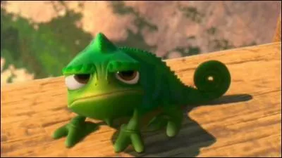 Connais-tu le prénom de ce caméléon ?