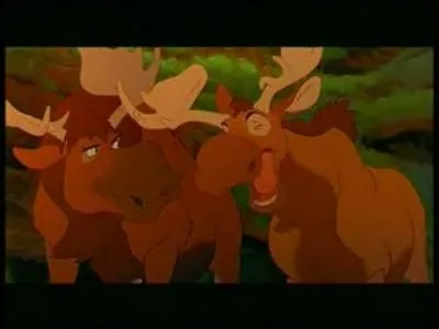 Qui sont ces deux élans ?