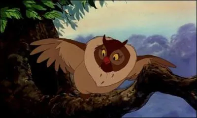 Un hibou maintenant...