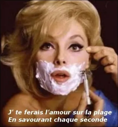 Quel est le titre de la chanson chantée en 1980 par Diane Tell ?