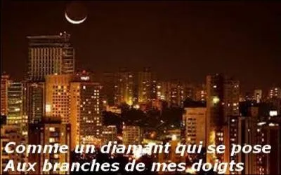 Quel est le titre de la chanson chantée en 1986 par le groupe Gold ?