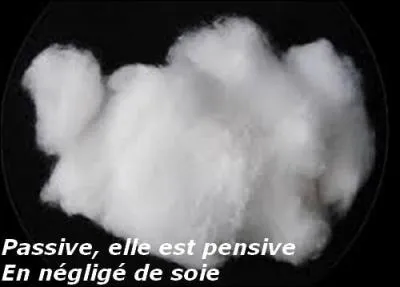 Quel est le titre de la chanson chantée en 1987 par Caroline Loeb ?