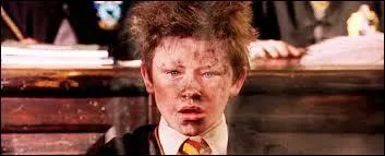 De quelle ascendance est Seamus Finnigan ?